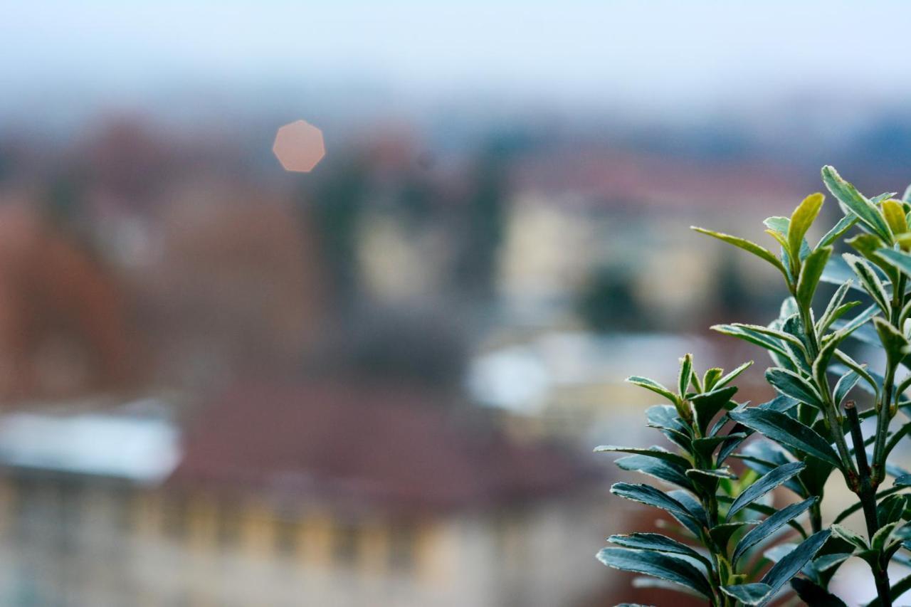 Sunny Side I Turin Suite Buitenkant foto